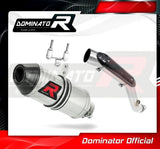 Dominator HP3 High Mount Slip-On Exhaust for BMW G 310 R 2016-22